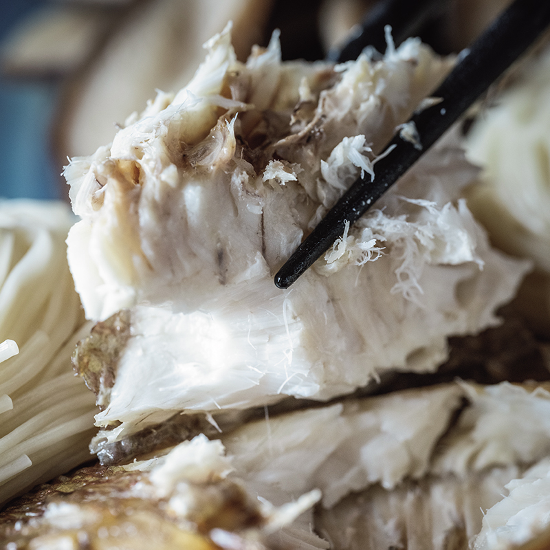 鯛魚肉